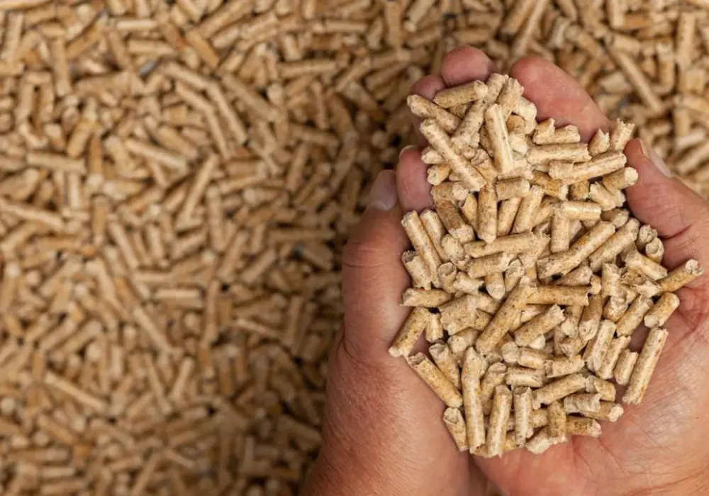 Pellet drożeje i znika? Jak kupować bez ryzyka