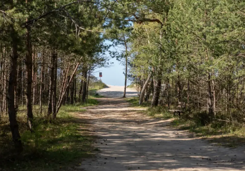 Jastrzębia Góra - Dojazd bez stresu i korków