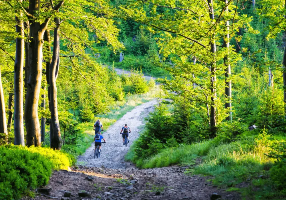 Trasy rowerowe Ustroń: Odkryj najlepsze szlaki dla każdego kolarza