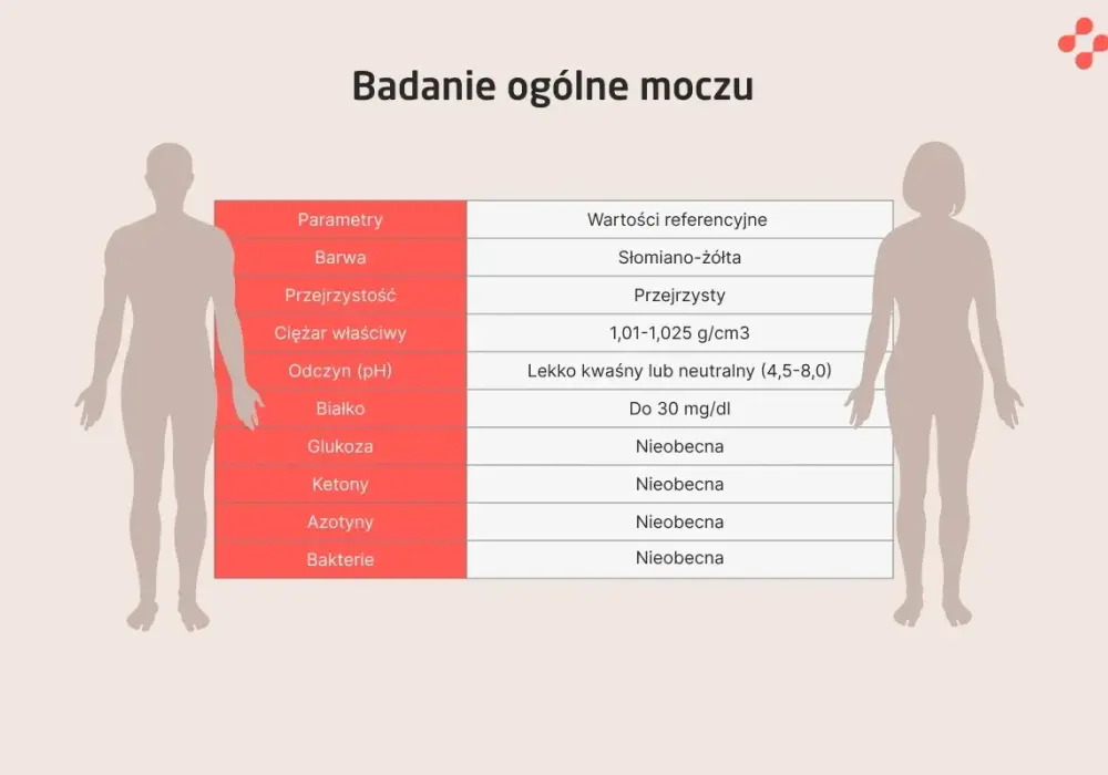 Badanie moczu - Jak czytać wyniki i pobrać próbkę?