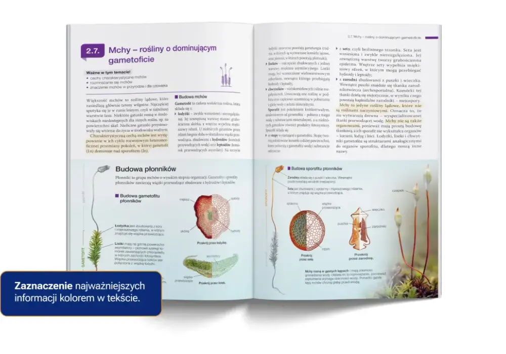 Biologia Nowa Era - Jak wybrać podręcznik i nie popełnić błędu?