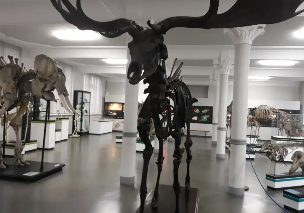 Muzeum Przyrodnicze Wrocław: Przewodnik, ceny, atrakcje