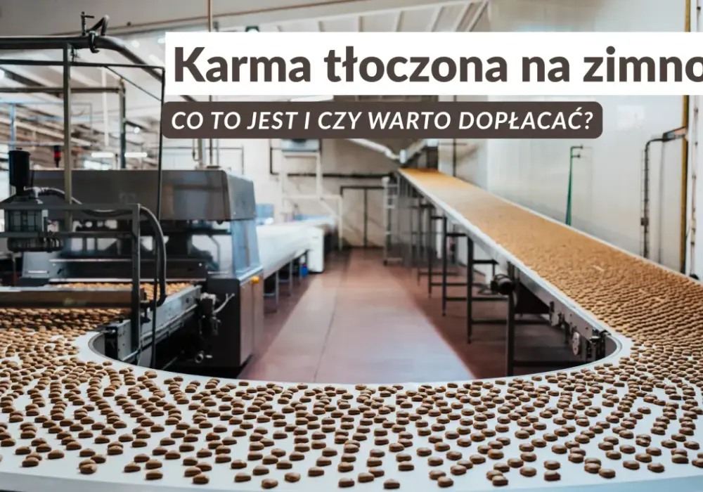 Tłoczona czy ekstrudowana? Wybierz karmę idealną dla trawienia psa