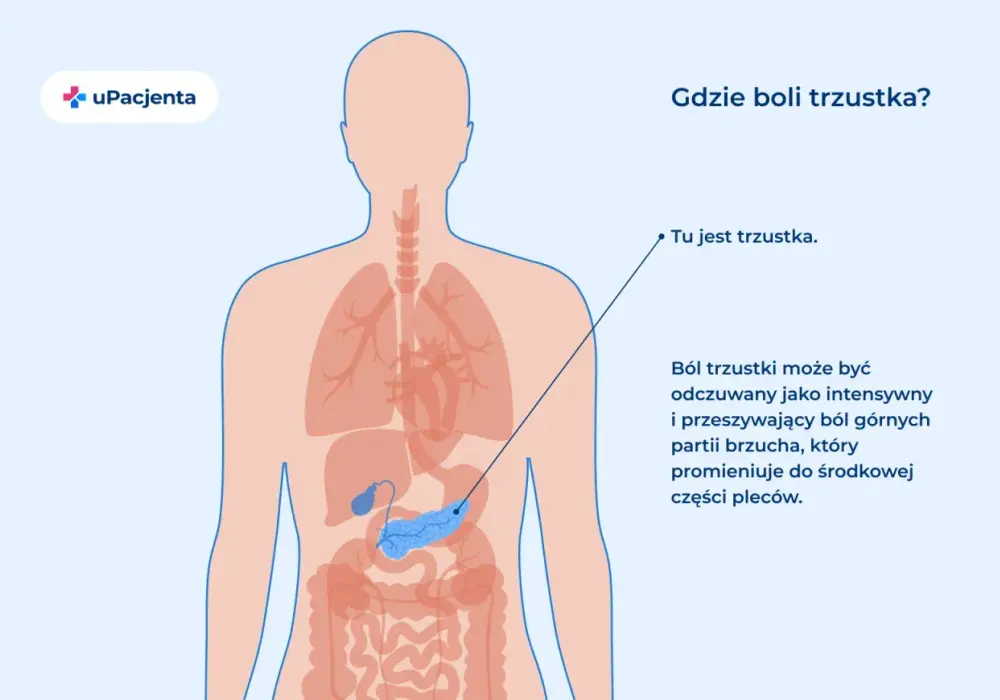 Ból trzustki - gdzie boli i kiedy to alarm?