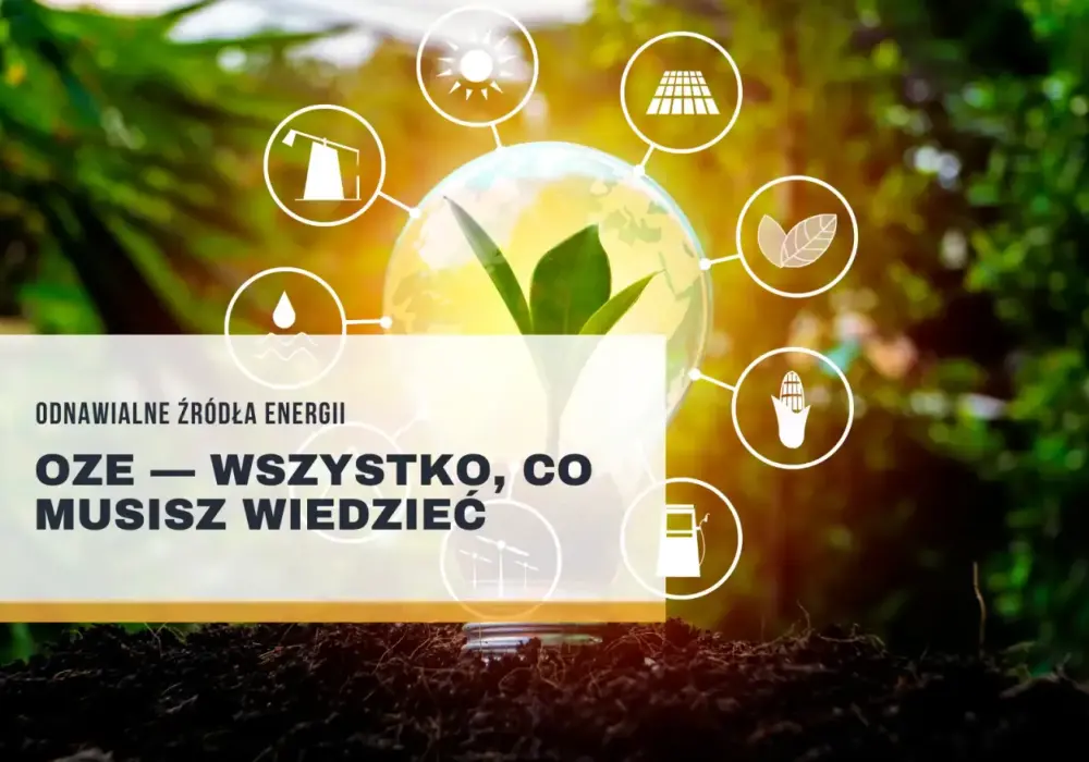  Co to oze? Oze co to znaczy? Kliknij i dowiedz się!