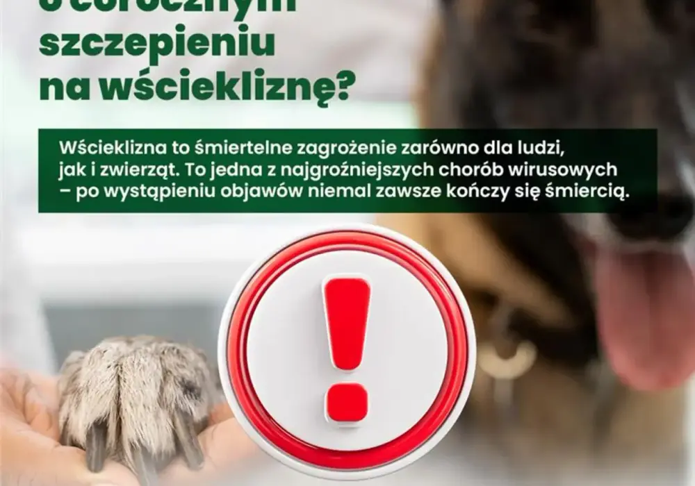 Wścieklizna - Szybka reakcja ratuje życie. Sprawdź, co robić!