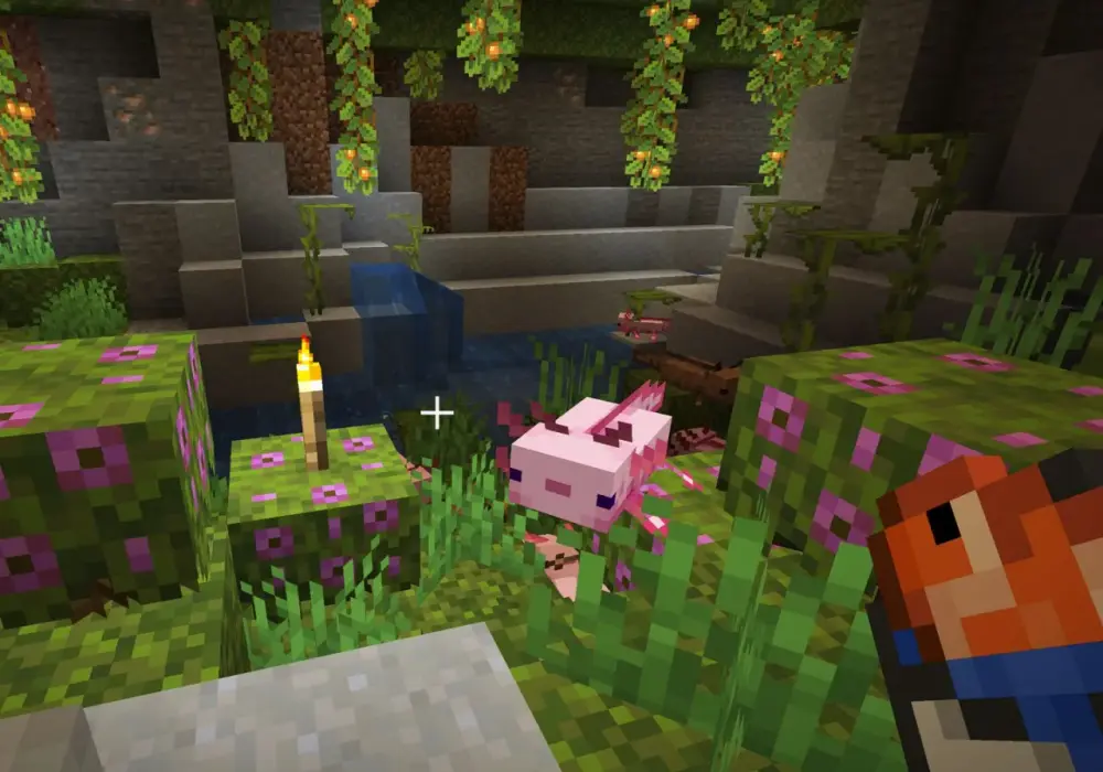 Axolotl Minecraft - Gdzie znaleźć, jak hodować i używać?