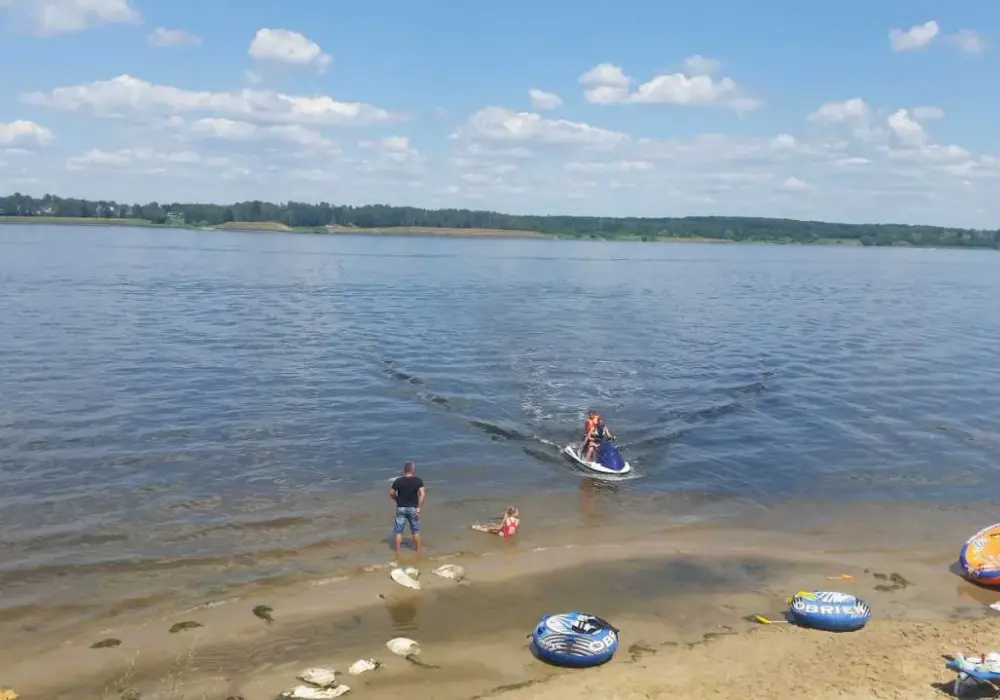 Dzierżno Duże: Raj wędkarzy i plażowiczów? Sprawdź przed wizytą!