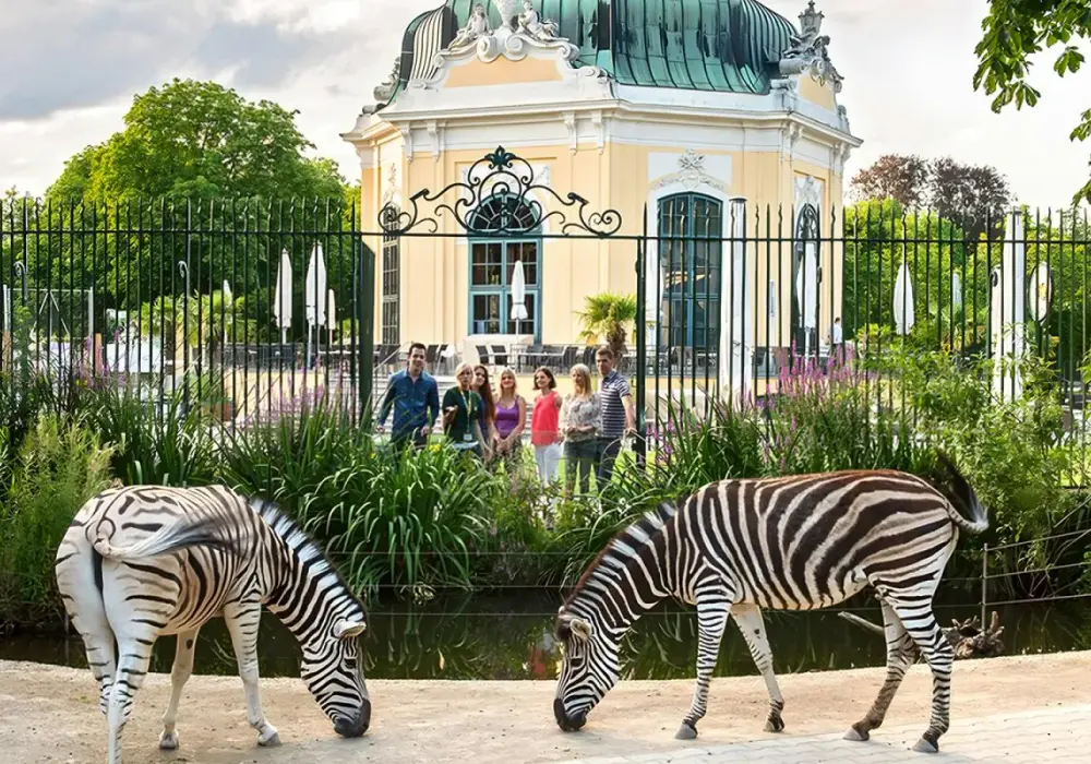 Zoo Schönbrunn - Ceny, dojazd, godziny i praktyczne wskazówki