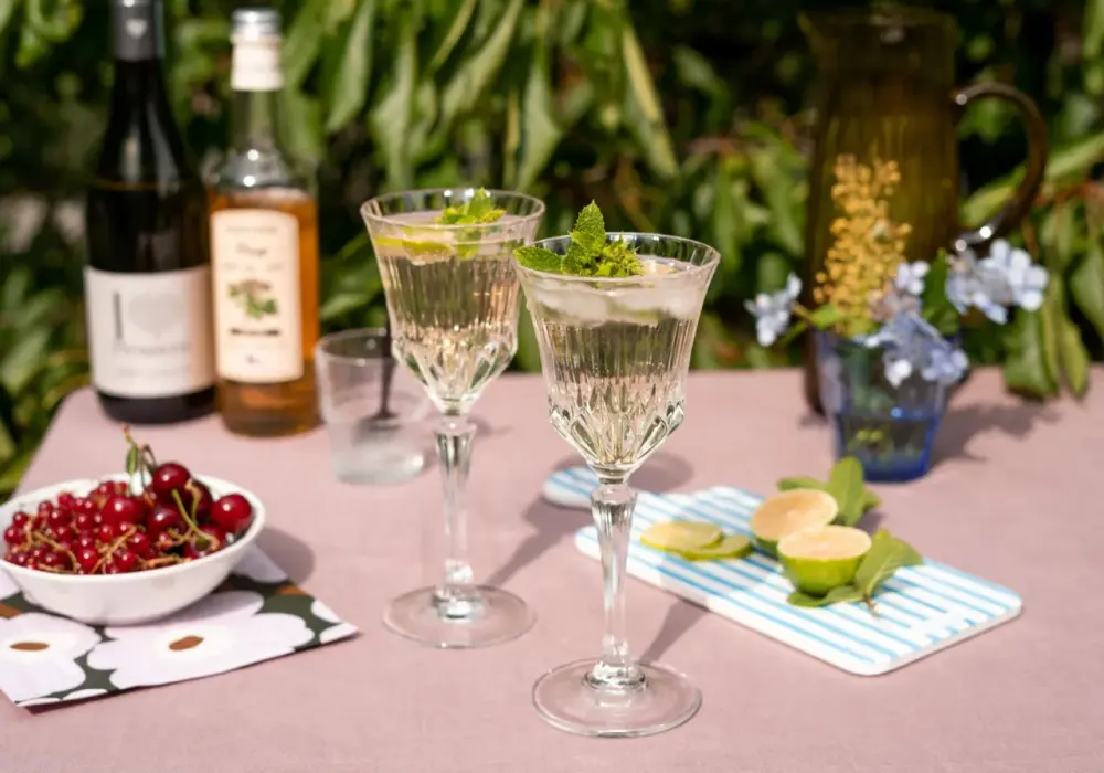 Jak przygotować idealny drink z prosecco i sokiem z bzu na lato