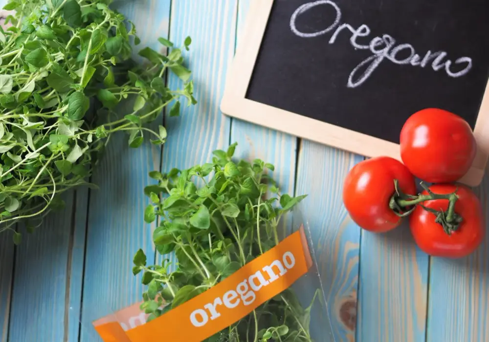 Oregano do pizzy brak? Sprawdź te zamienniki!