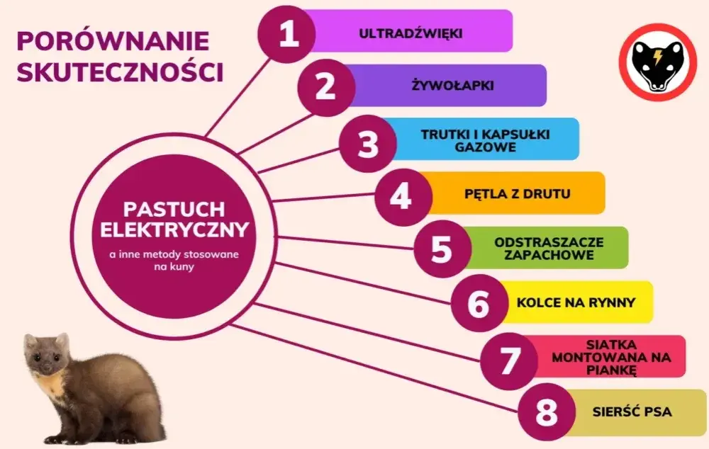 Jak złapać kunę na strychu? Skuteczne metody i porady krok po kroku