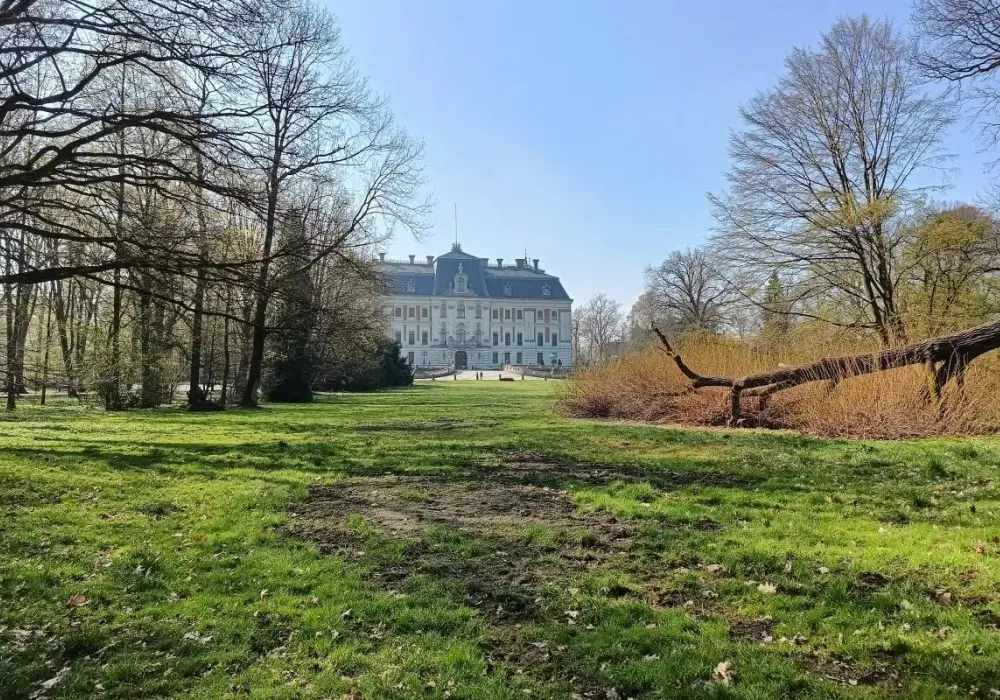 Pszczyna w weekend - Zamek, żubry i skansen bez pośpiechu