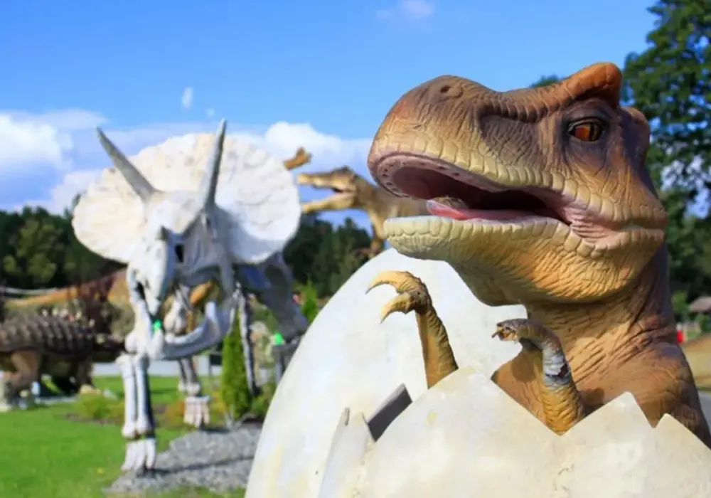 Dream Park Ochaby 2026: Ceny, atrakcje, godziny. Czy warto jechać?