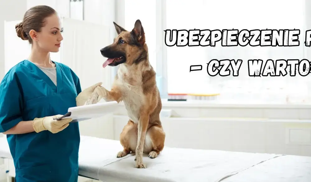 Ubezpieczenie psa rasowego: Kiedy to inwestycja, a kiedy wydatek?