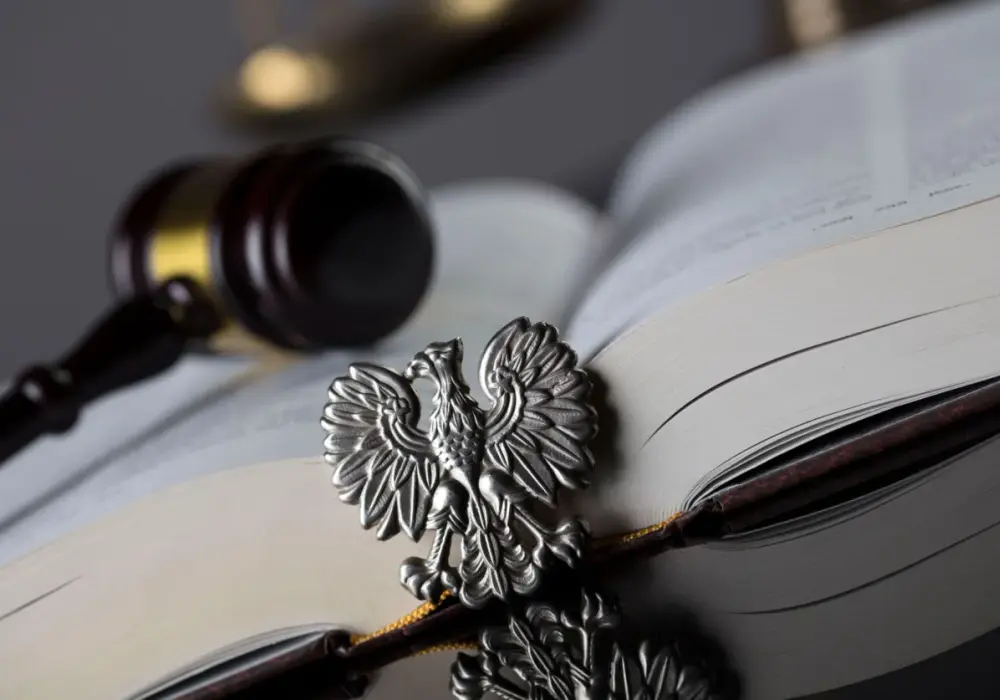 Odpowiedzialność konstytucyjna - Kto odpowiada i za co?