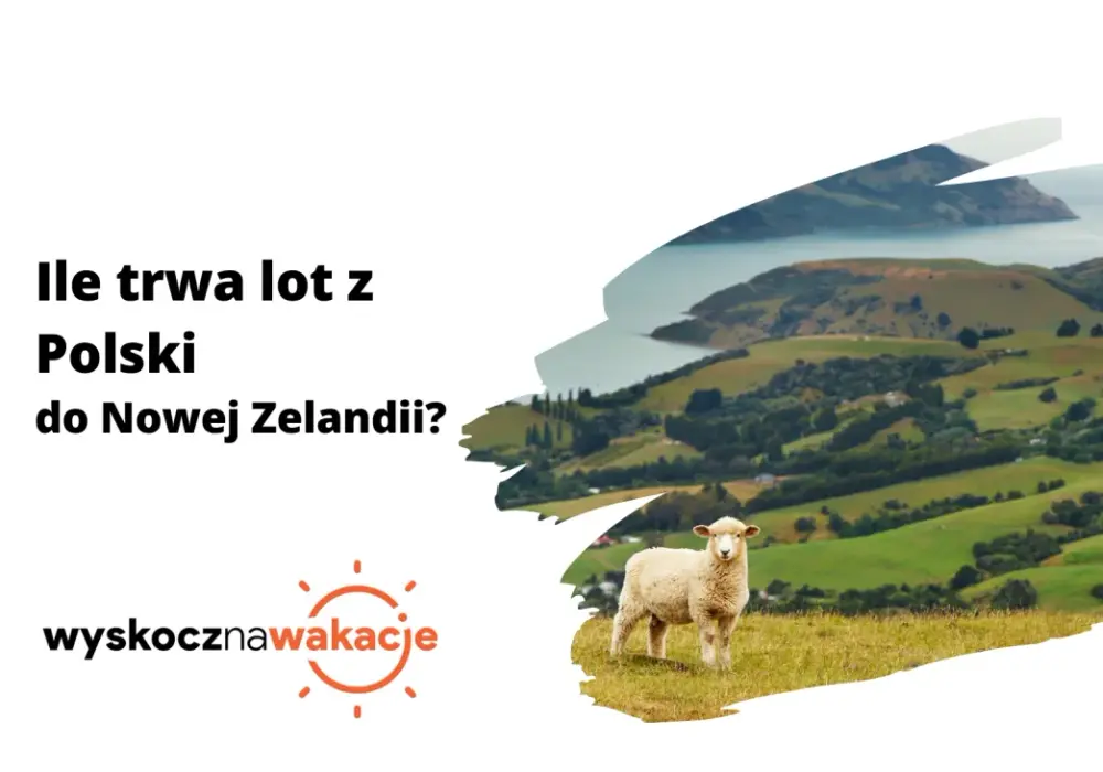 Ile trwa lot z Polski do Nowej Zelandii? Zaskakujące fakty o czasie podróży