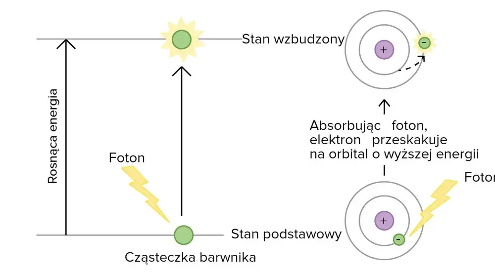 Foton i energia światła - jak to działa naprawdę?