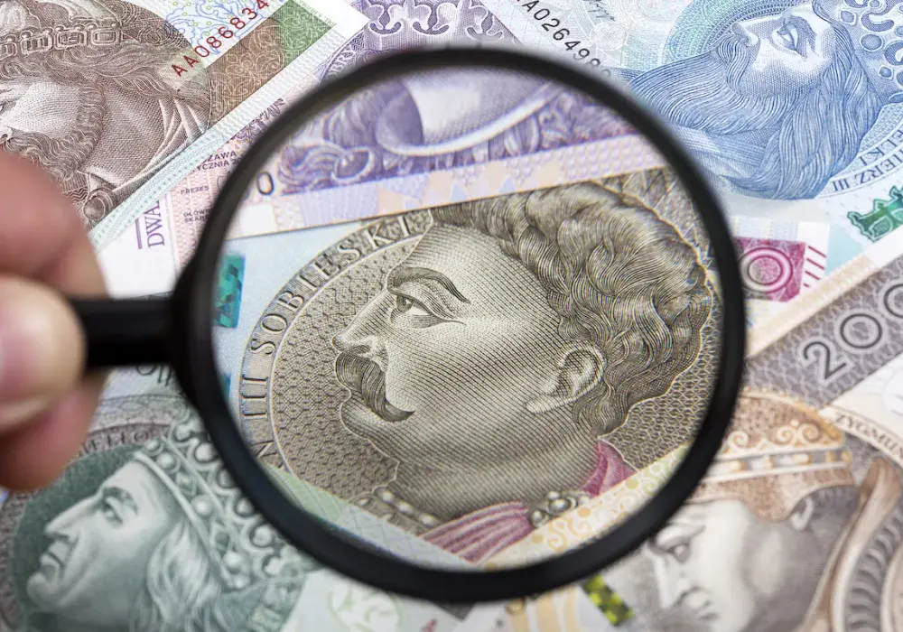 Dieta z tytułu delegacji a egzekucja komornicza - Czy jest chroniona?
