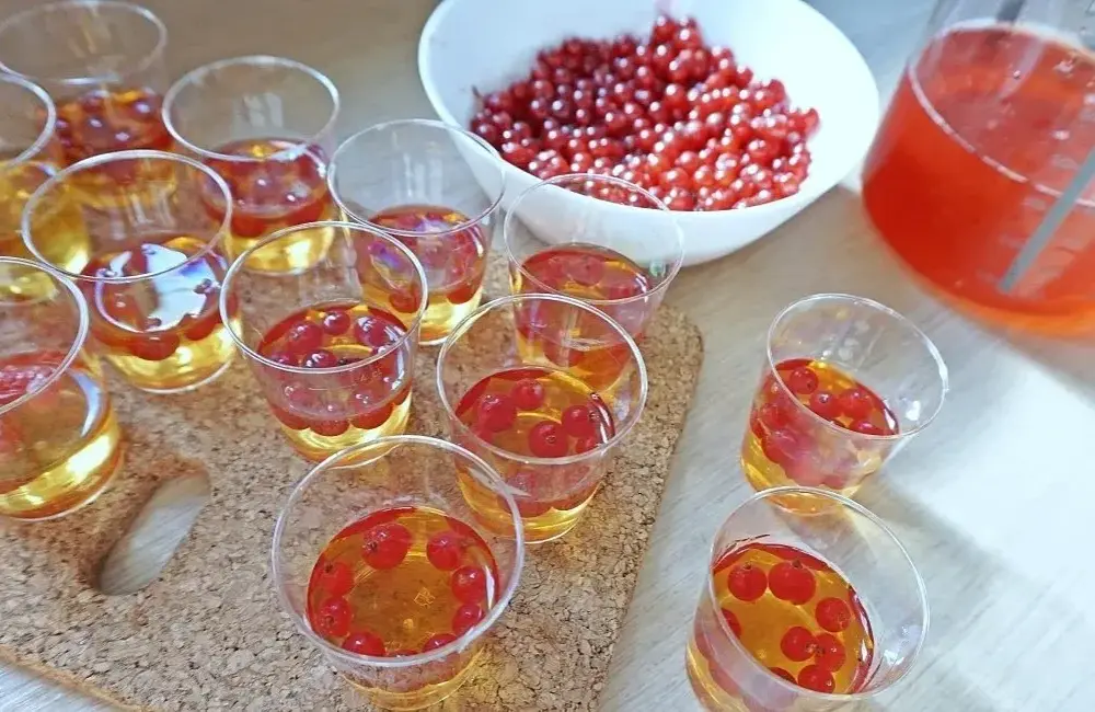 Deser z galaretki może być zdrową przekąską dla dzieci? 7 inspiracji