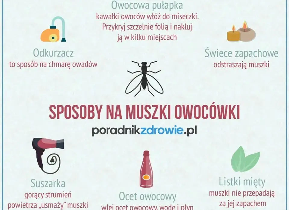 Skuteczne sposoby na pozbycie się muszek owocówek w kuchni