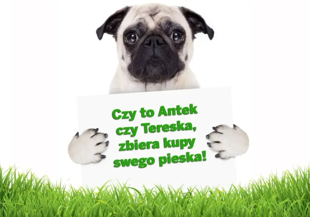 Wierszyki o pieskach: Rymowanki dla dzieci, klasyka i zabawa