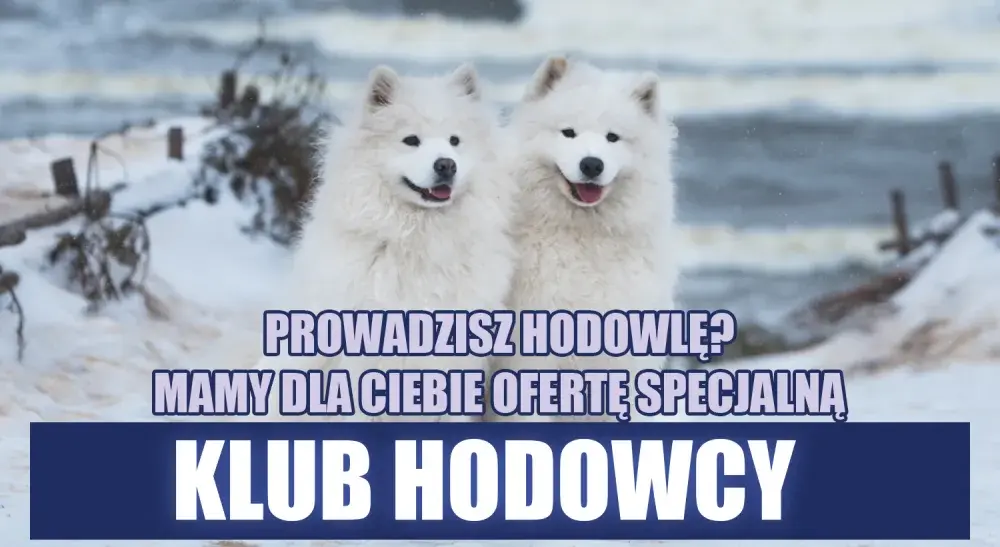 Kluby hodowców: jak znaleźć wsparcie i wiedzę?