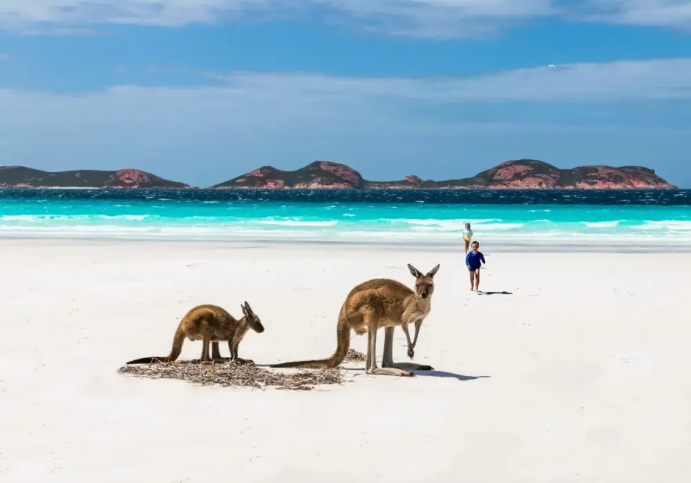 Najpiękniejsze miejsca w Australii i Oceanii, które musisz zobaczyć