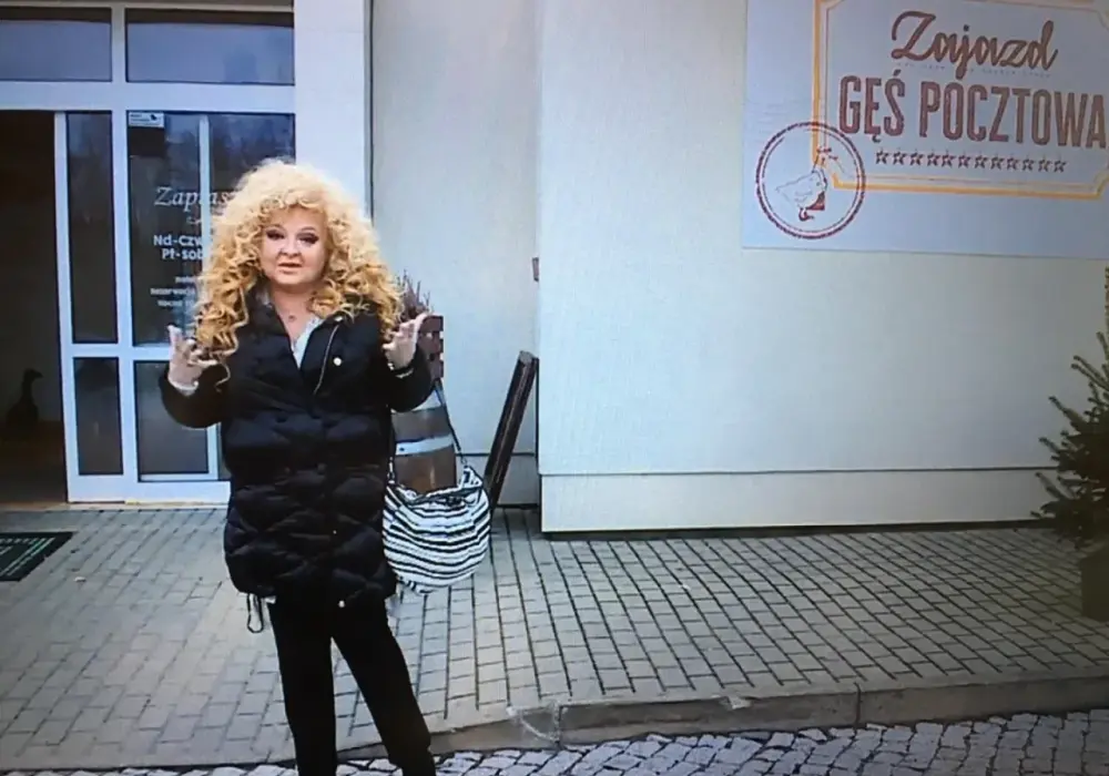 Gęś Pocztowa w Ludwinie - sprawdź aktualny status przed wyjazdem