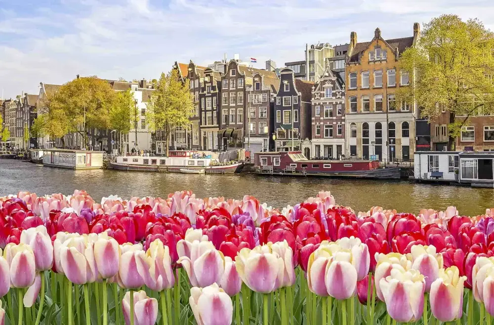 Pociągiem do Amsterdamu z Polski - Bezpośrednio? Trasy, bilety
