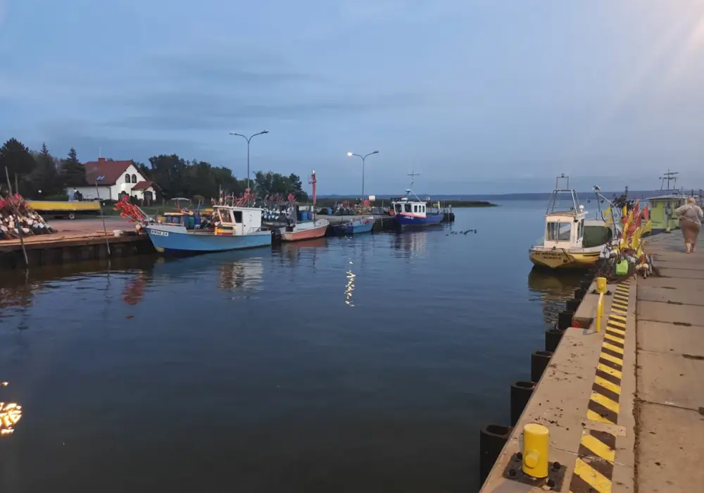 Port w Krynicy Morskiej - więcej niż przystań? Sprawdź!