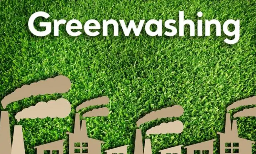 Co naprawdę kryją opinie klientów o firmie Green Energy? Fakty