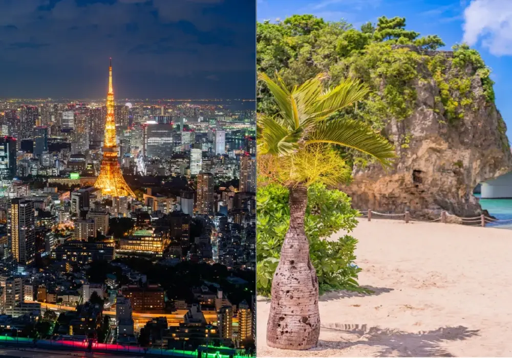 Ile leci się do Tokio z Warszawy? Czas lotu i praktyczne rady