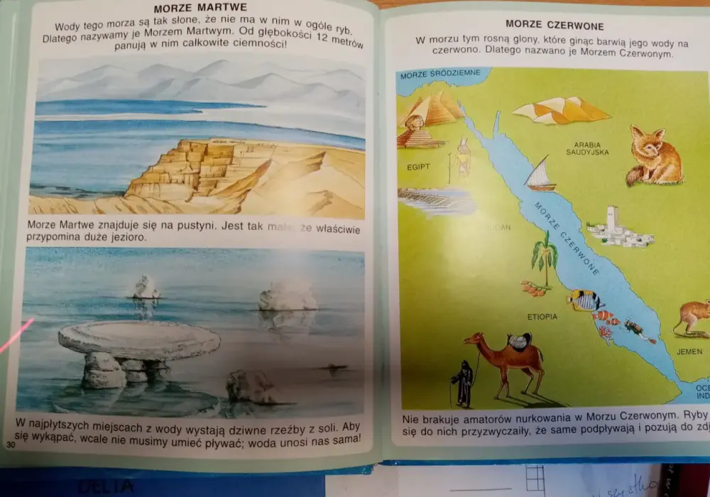 Morze czy ocean: Gdzie woda jest bardziej słona? Odpowiedź.