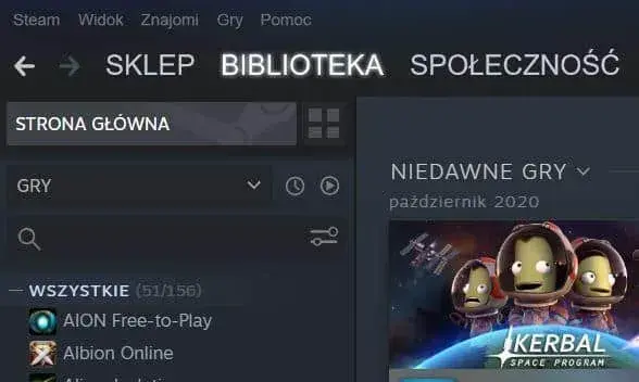 Jak wypożyczyć grę na Steam bez błędów i ograniczeń – prosty poradnik krok po kroku