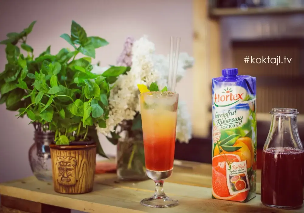 Drink z sokiem żurawinowym - od klasyki po mocktaile, zrób to sam