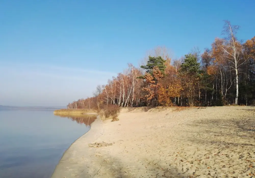 Plaża Dziećkowice - Czy to miejsce dla Ciebie? Sprawdź!