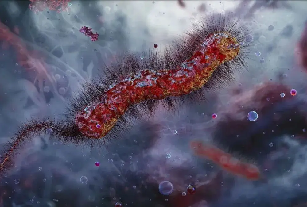 Czy cholera to grzech? Teologia a przekleństwa - wyjaśnienie