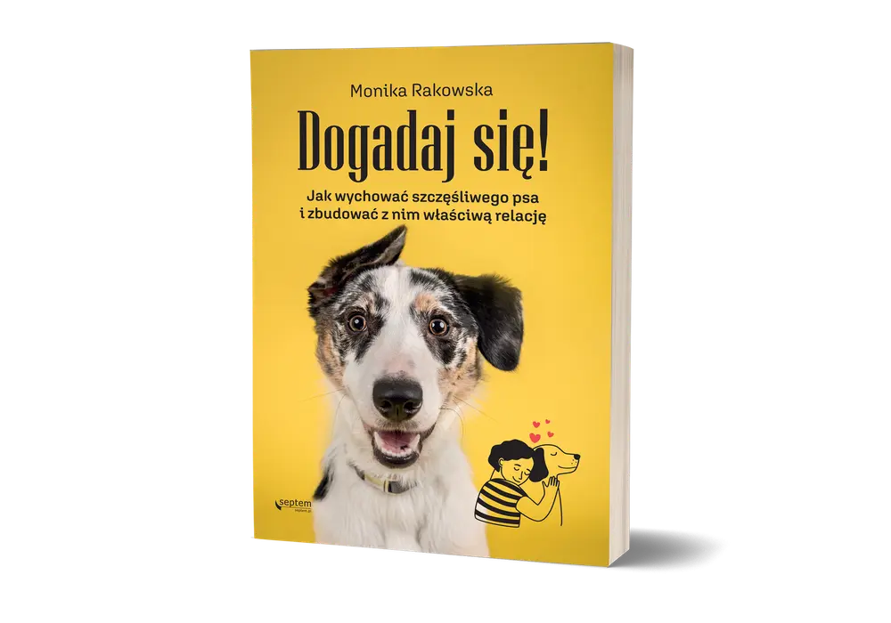 Niezależność psa pierwotnego: Poradnik wychowania bez frustracji