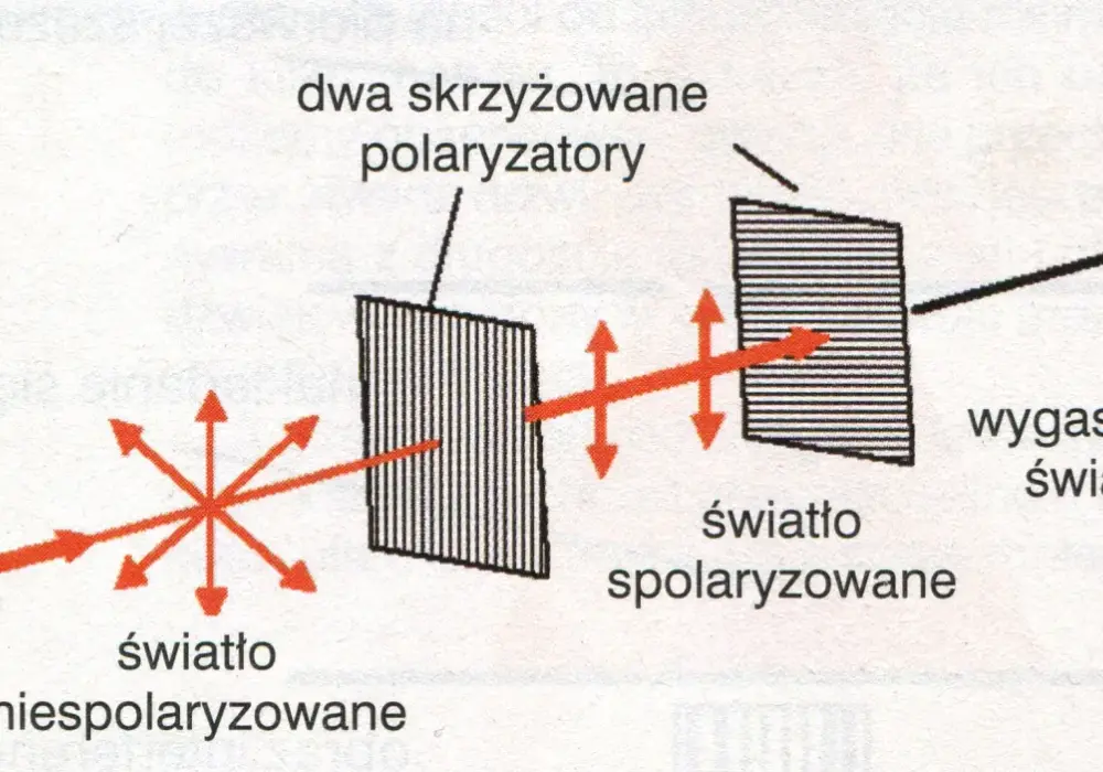 Polaryzacja światła - Co to jest i do czego służy?
