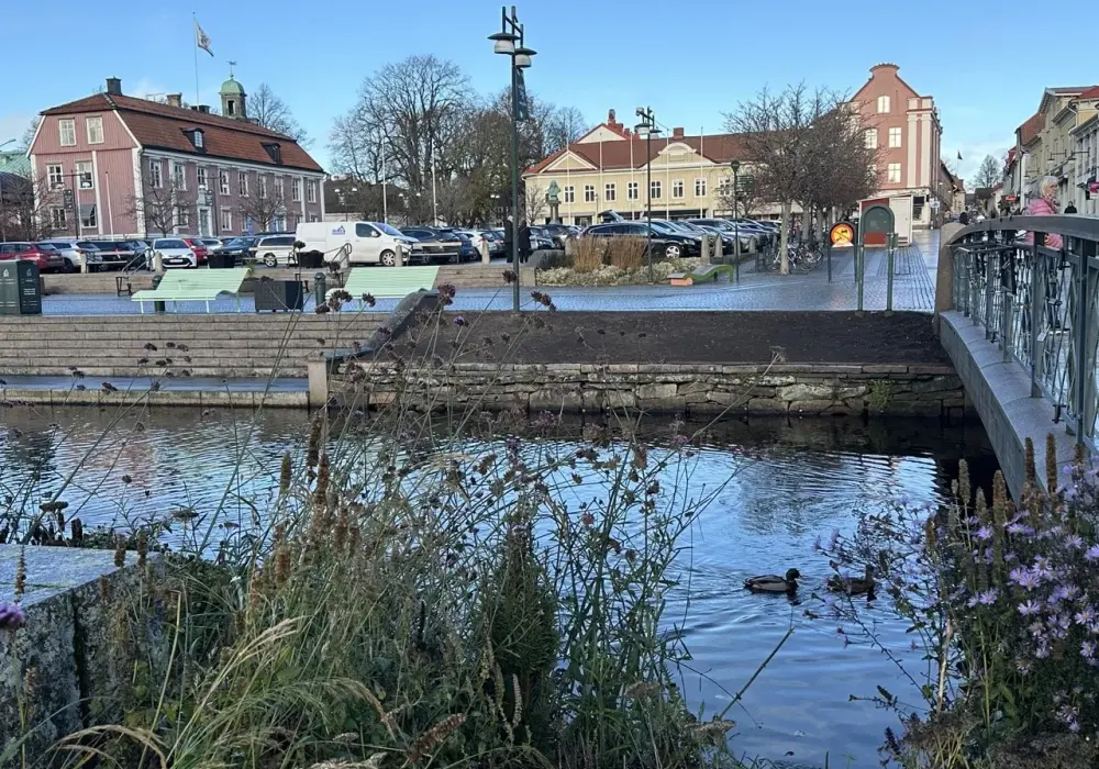 Czy Alingsås to prawdziwy raj dla miłośników szachów? Prawda