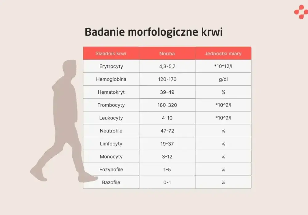 Granulocyty w morfologii - Co oznaczają i kiedy alarmują?