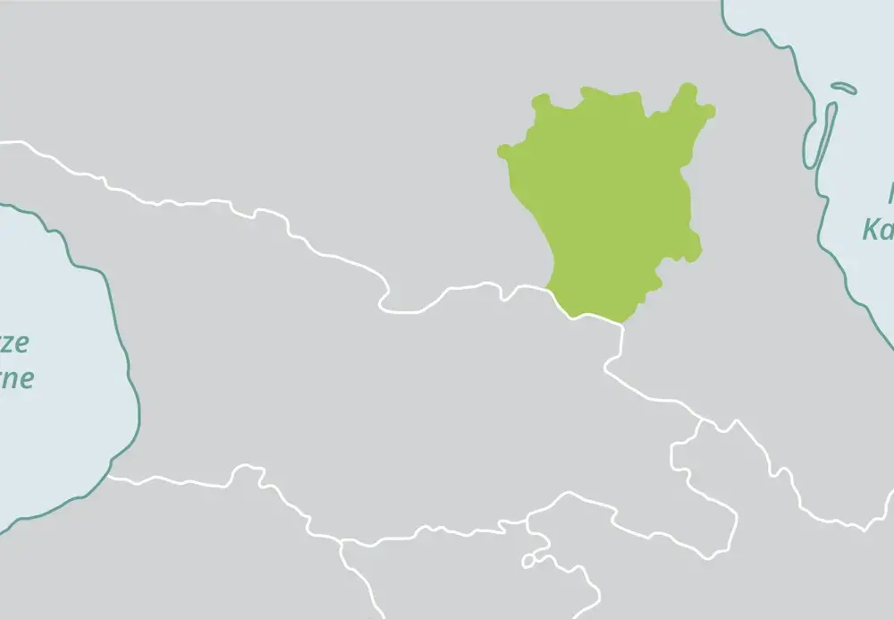 Gdzie leży Czeczenia? Położenie, granice i status republiki