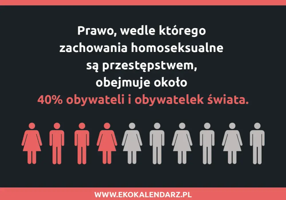 Homofobia w Polsce - Jak działa i co naprawdę zmienia?