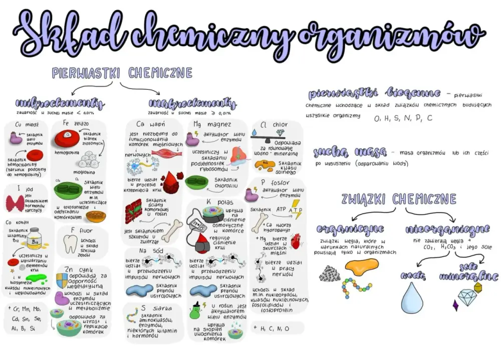 Budowa chemiczna organizmów - Z czego naprawdę składa się życie?