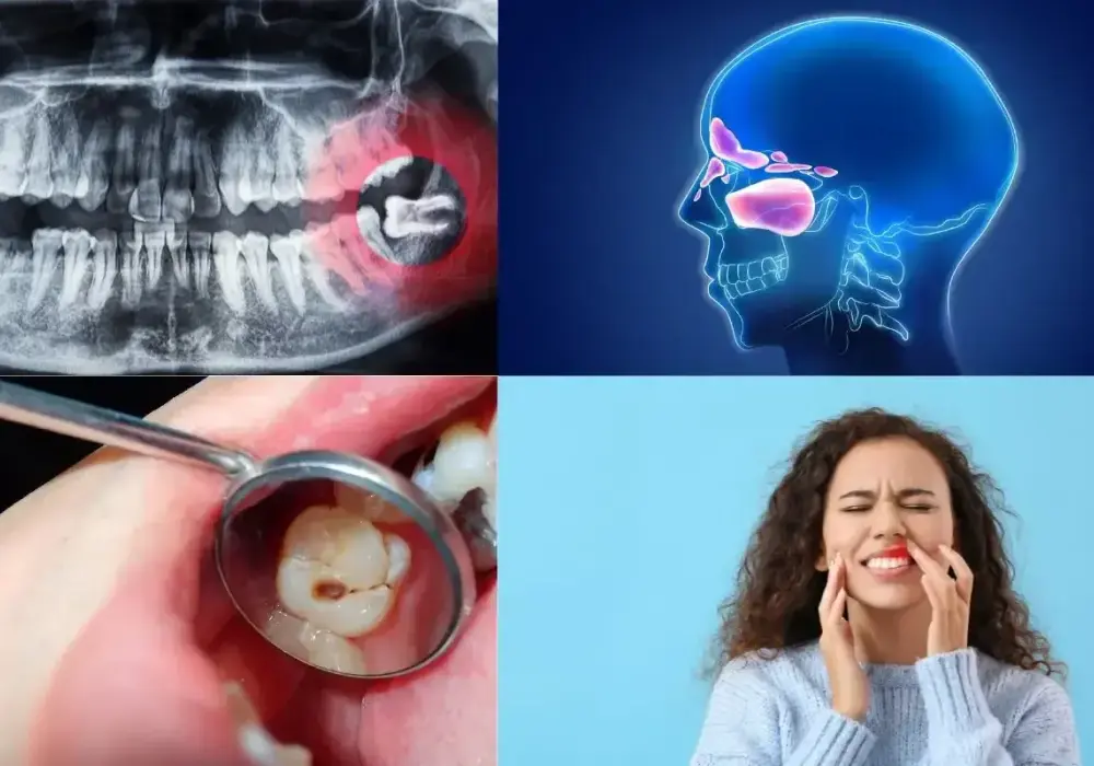 Ból ucha od zęba? Jak rozpoznać źródło i kiedy iść do dentysty