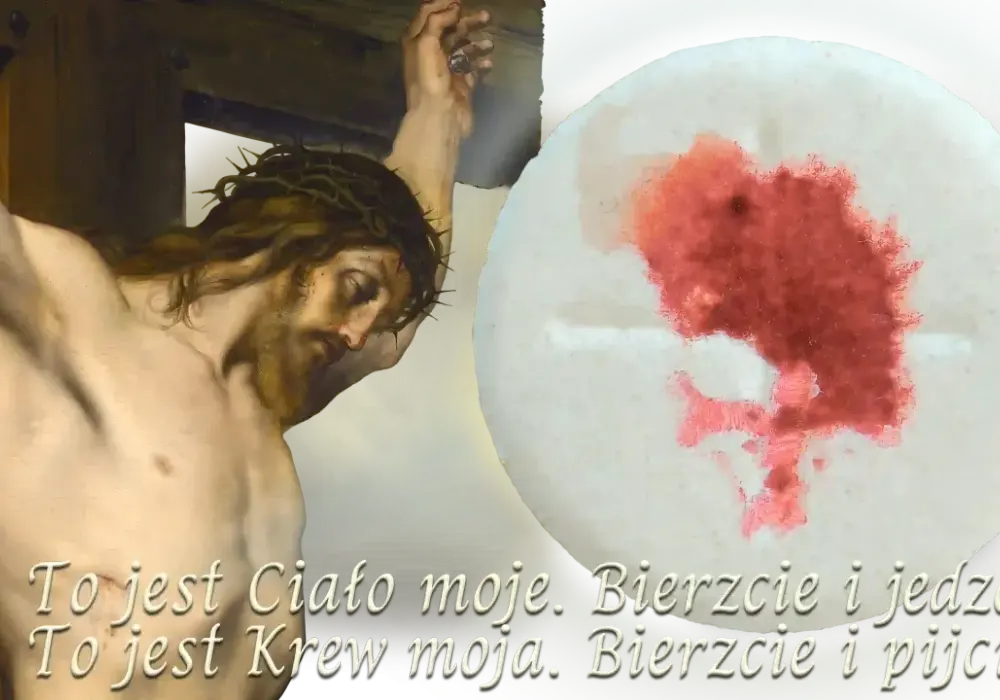 Cuda eucharystyczne - co mówią o realnej obecności?