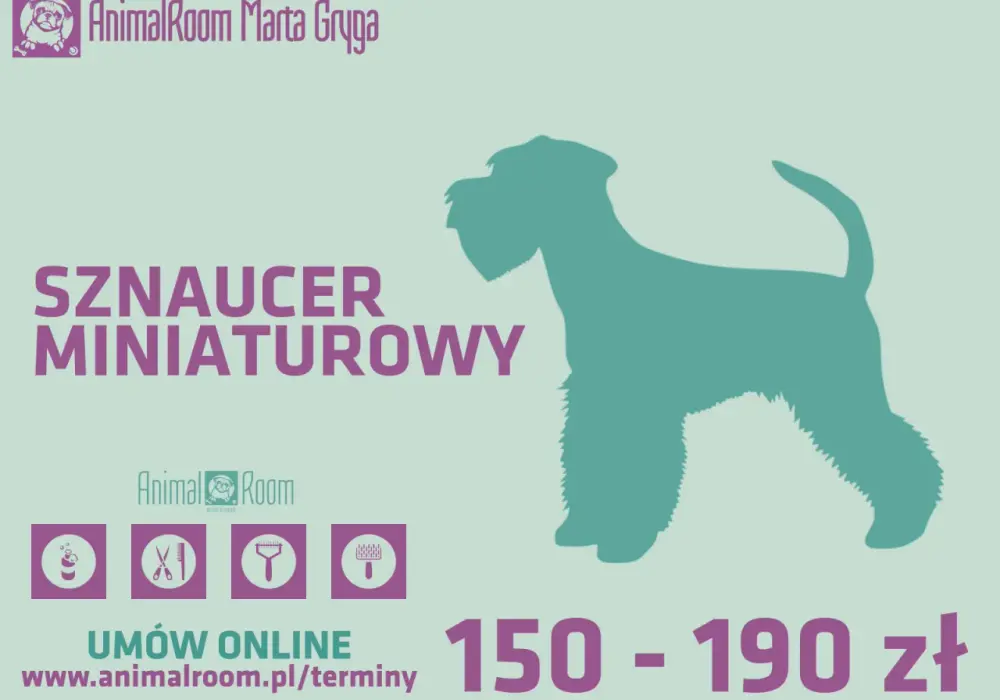 Sznaucer miniaturowy: Szczekanie i trymowanie Klucz do harmonii