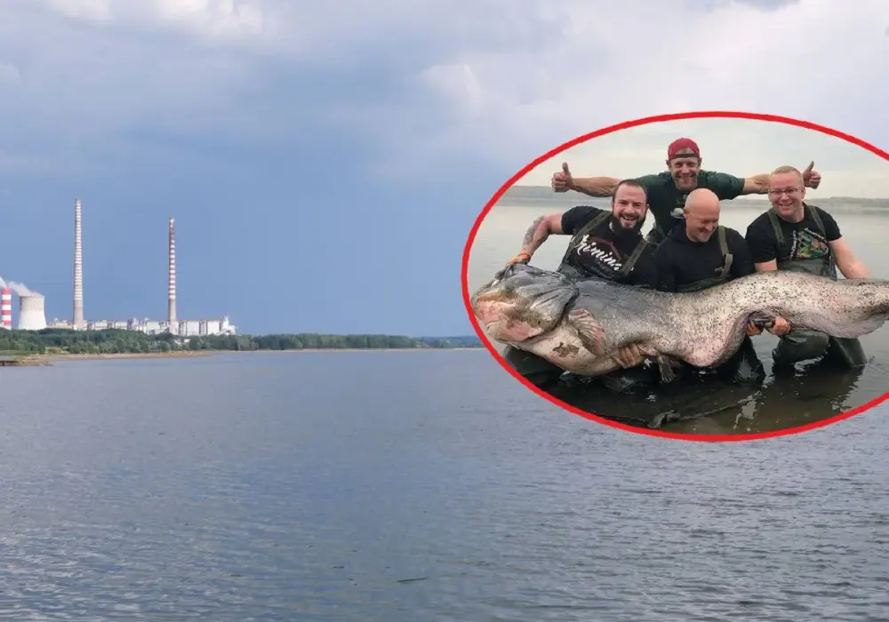 Pogoria III - Jak skutecznie łowić ryby? Poznaj zasady na 2026 rok
