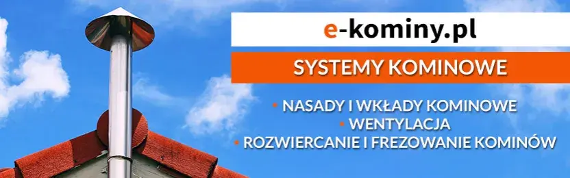 Jak zabezpieczyć komin przed ptakami i uniknąć kosztownych problemów